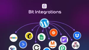 Bit Integrations
